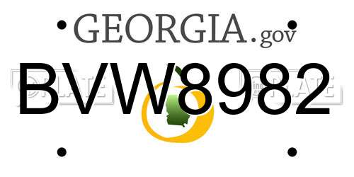 BVW8982 Georgia License Plate