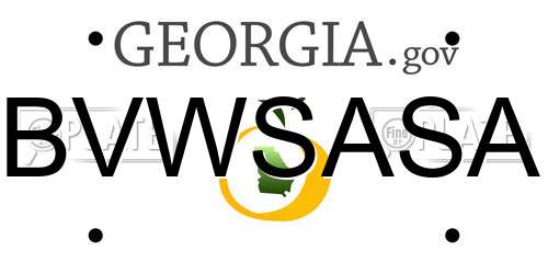 BVWSASA Georgia License Plate