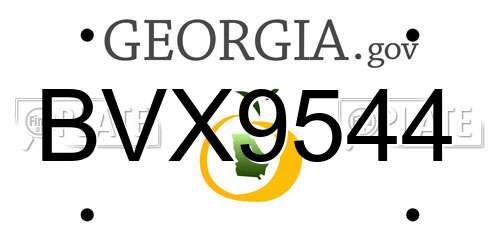BVX9544 Georgia License Plate