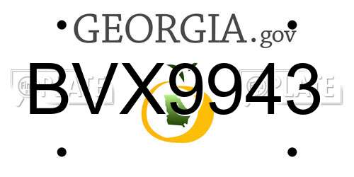 BVX9943 Georgia License Plate