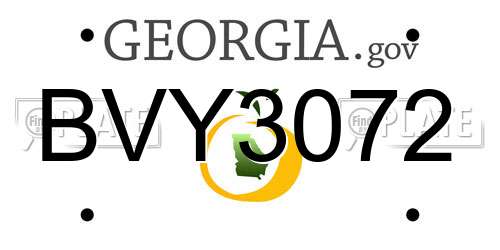 BVY3072 Georgia License Plate