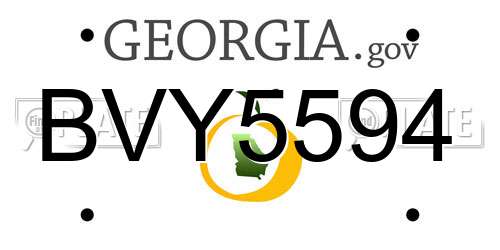 BVY5594 Georgia License Plate