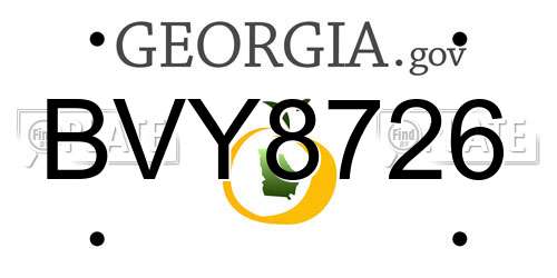 BVY8726 Georgia License Plate