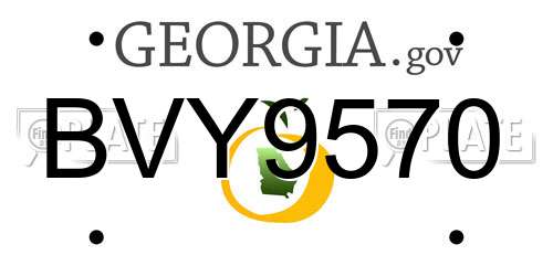 BVY9570 Georgia License Plate