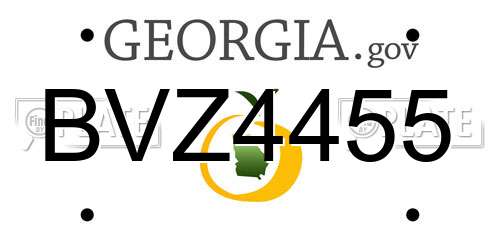 BVZ4455 Georgia License Plate