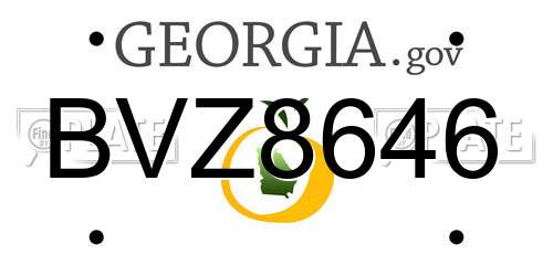 BVZ8646 Georgia License Plate