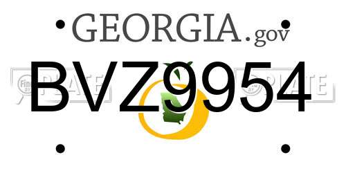 BVZ9954 Georgia License Plate
