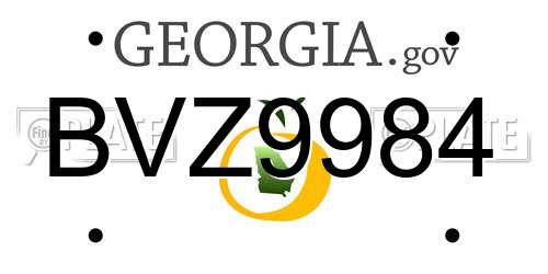 BVZ9984 Georgia License Plate