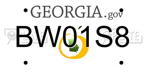 BW01S8 Georgia License Plate