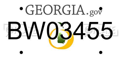 BW03455 Georgia License Plate