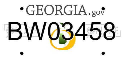 BW03458 Georgia License Plate