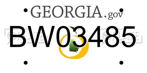 BW03485 Georgia License Plate