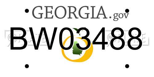 BW03488 Georgia License Plate