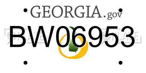 BW06953 Georgia License Plate