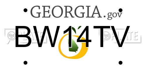 BW14TV Georgia License Plate