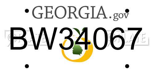 BW34067 Georgia License Plate
