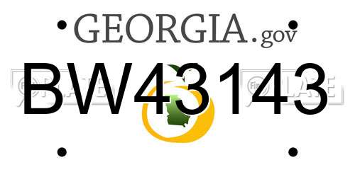 BW43143 Georgia License Plate
