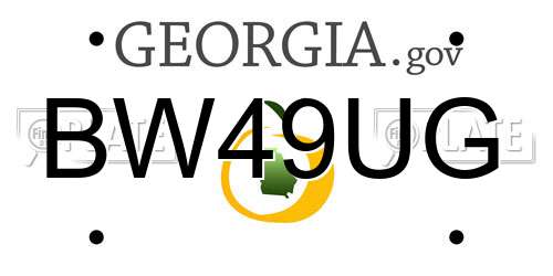 BW49UG Georgia License Plate