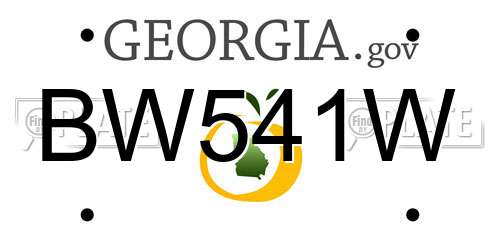 BW541W Georgia License Plate