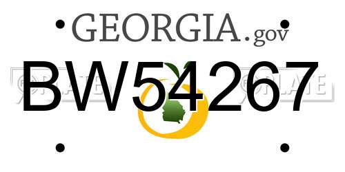 BW54267 Georgia License Plate