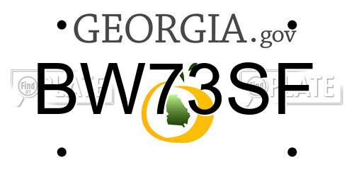 BW73SF Georgia License Plate