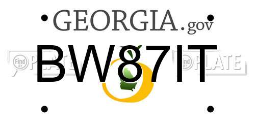 BW87IT Georgia License Plate