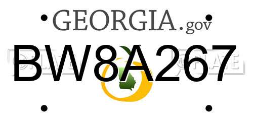 BW8A267 Georgia License Plate