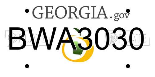 BWA3030 Georgia License Plate