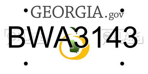 BWA3143 Georgia License Plate