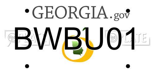 BWBU01 Georgia License Plate