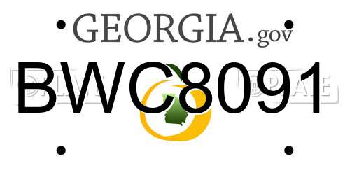 BWC8091 Georgia License Plate