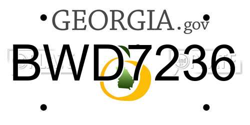 BWD7236 Georgia License Plate
