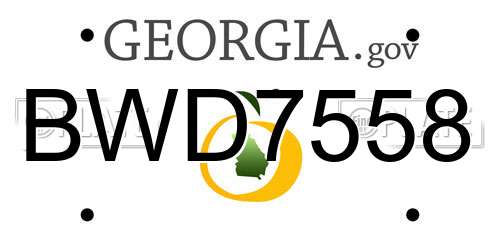 BWD7558 Georgia License Plate