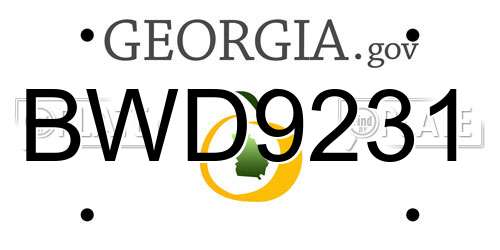 BWD9231 Georgia License Plate