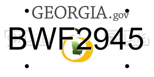 BWF2945 Georgia License Plate