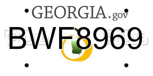 BWF8969 Georgia License Plate