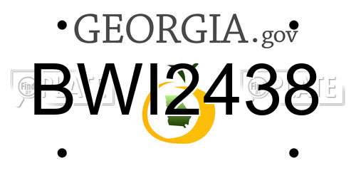 BWI2438 Georgia License Plate