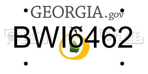 BWI6462 Georgia License Plate