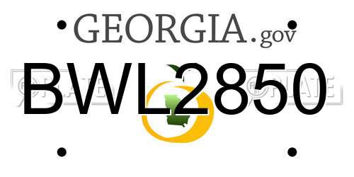 BWL2850 Georgia License Plate