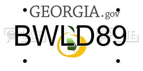 BWLD89 Georgia License Plate