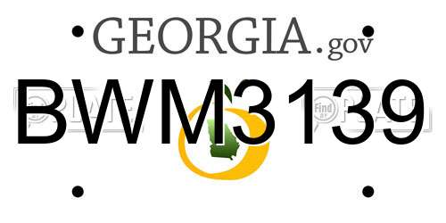BWM3139 Georgia License Plate
