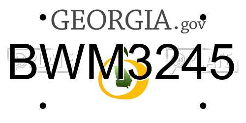 BWM3245 Georgia License Plate