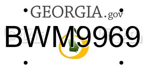 BWM9969 Georgia License Plate