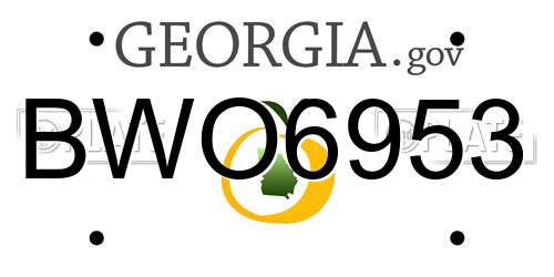 BWO6953 Georgia License Plate