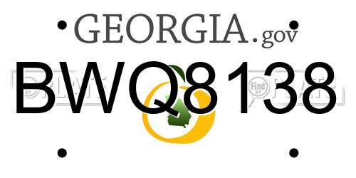 BWQ8138 Georgia License Plate