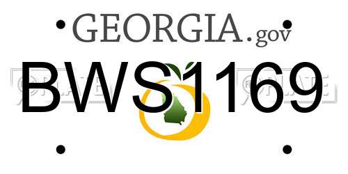 BWS1169 Georgia License Plate