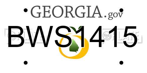 BWS1415 Georgia License Plate