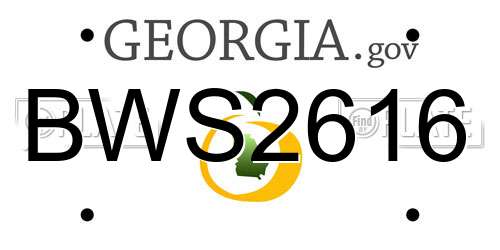 BWS2616 Georgia License Plate