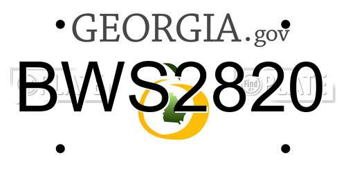 BWS2820 Georgia License Plate