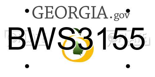BWS3155 Georgia License Plate